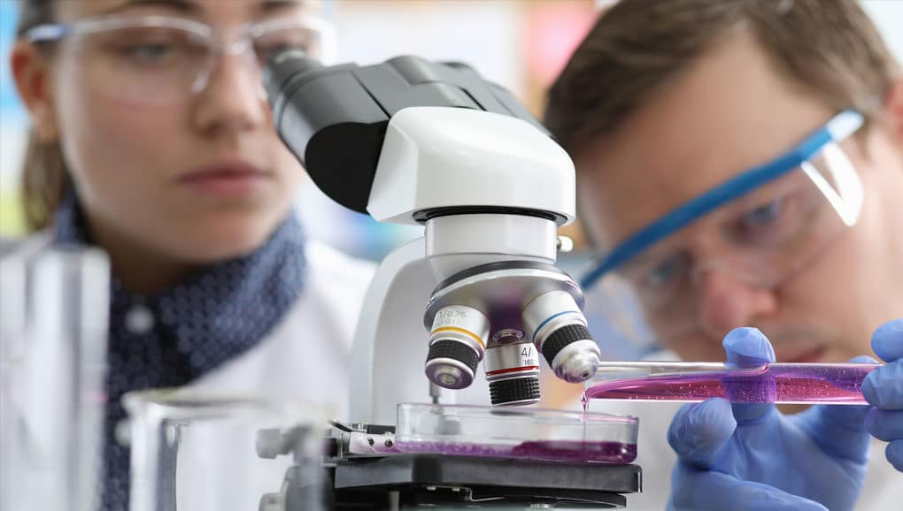 scientists observing microscope